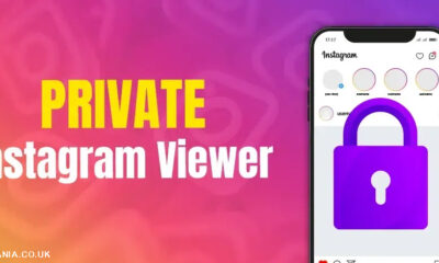 private instagram viewer