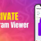 private instagram viewer