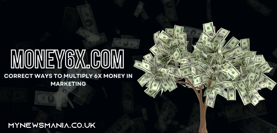 Money6x.com: Your Guide to Financial Growth and Stability